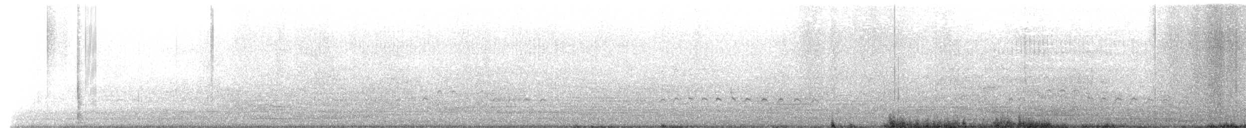 Whimbrel (Hudsonian) - ML617776761