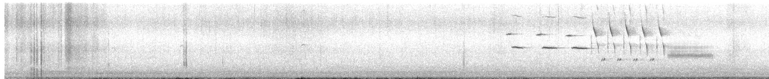 Song Sparrow - ML617780675