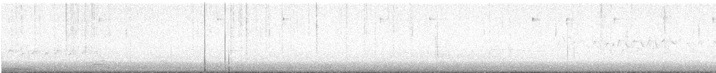 キヅタアメリカムシクイ（coronata ｘ auduboni） - ML617780823