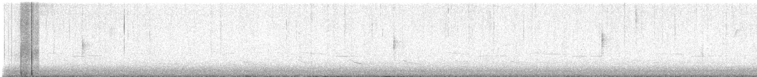 lesňáček žlutoskvrnný (ssp. coronata x auduboni) - ML617780829