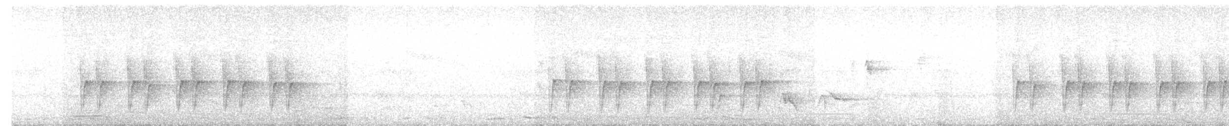 Camaroptère à tête grise (groupe brevicaudata) - ML617781152