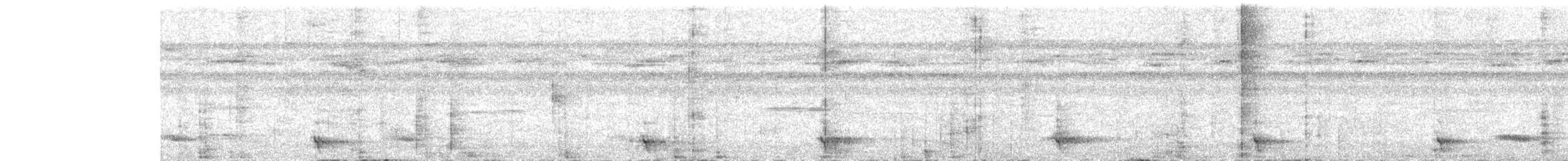 White-tailed Trogon - ML617781780