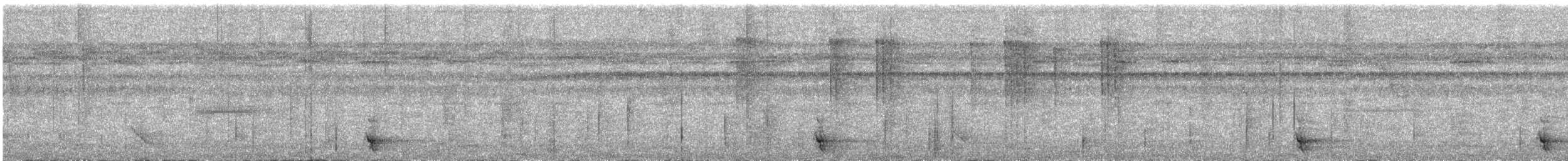 White-tailed Trogon - ML617781947