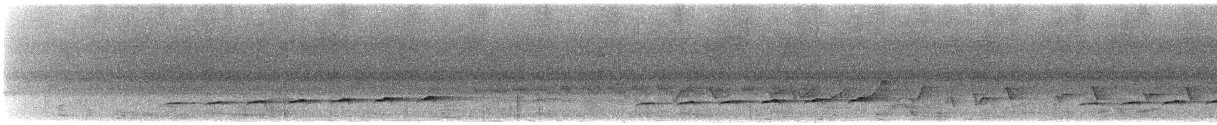 Çatal Kuyruklu Drongo Guguğu - ML617782192
