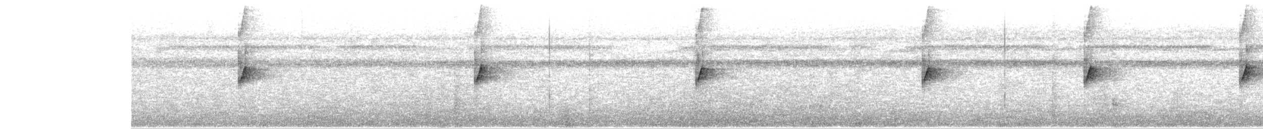 Kara Tepeli Küçük Tiran - ML617782922