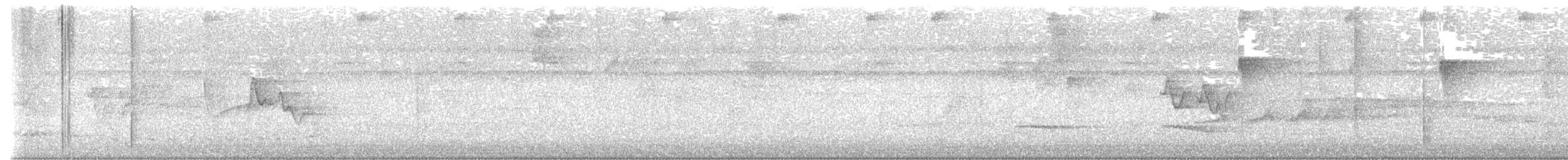 Weißkehl-Ameisenvogel - ML617784402