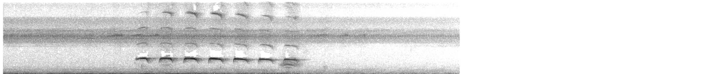 White-shouldered Fire-eye - ML617784406