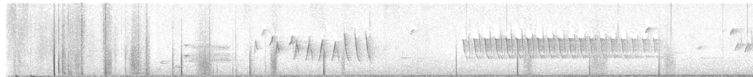 Northern Waterthrush - ML617786367