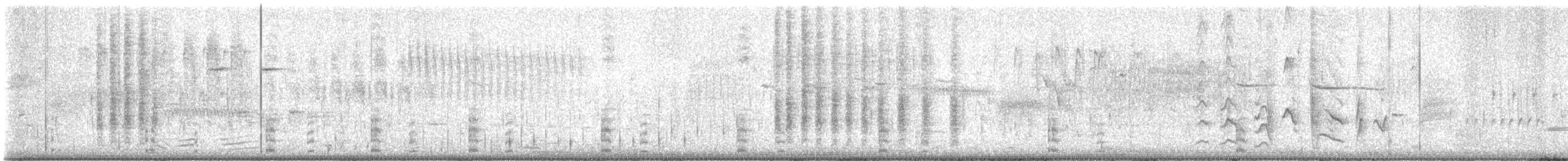 Bullock's Oriole - ML617787436