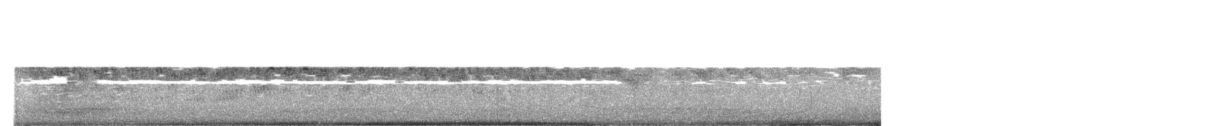 rorýs bělohrdlý - ML617787741
