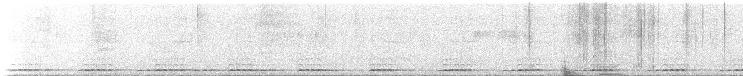 Chevêchette cuculoïde - ML617788794