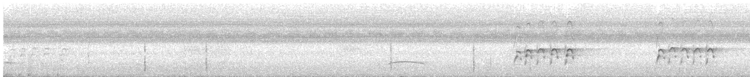 Swallow-tailed Kite - ML61779241