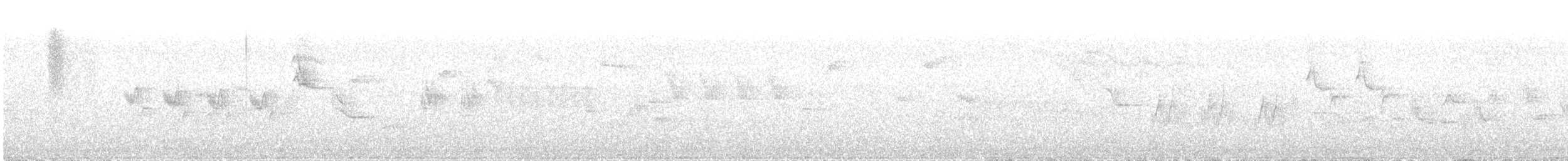 lejsek černohlavý - ML617796214