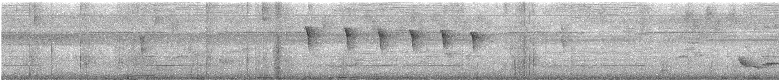 Checker-throated Stipplethroat - ML617796524