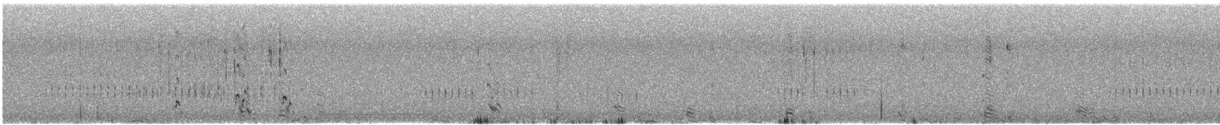 Sharp-tailed Grouse - ML617797239