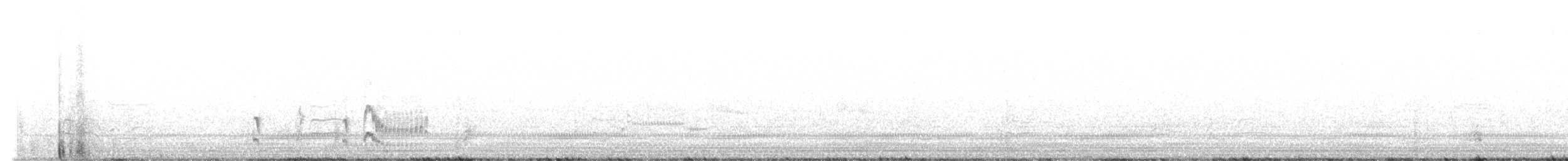 Çatal Kuyruklu Tiran - ML617797753