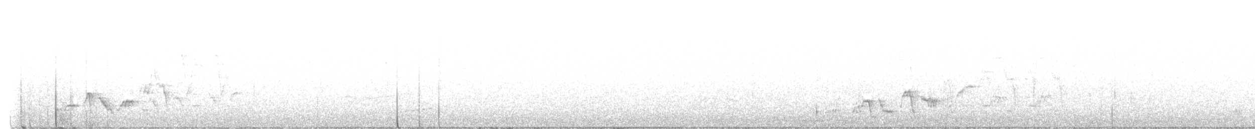 Дрізд-короткодзьоб Cвенсона - ML617797776