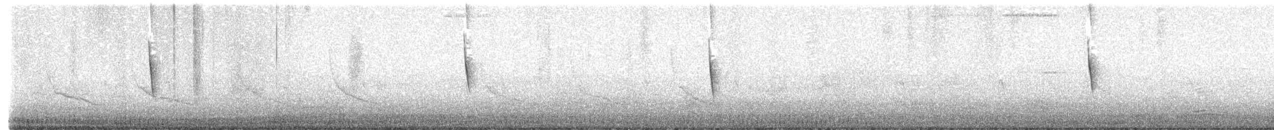 Swainson's Warbler - ML617797806