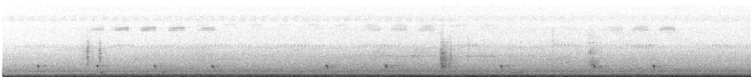 Large-tailed Nightjar - ML617803593