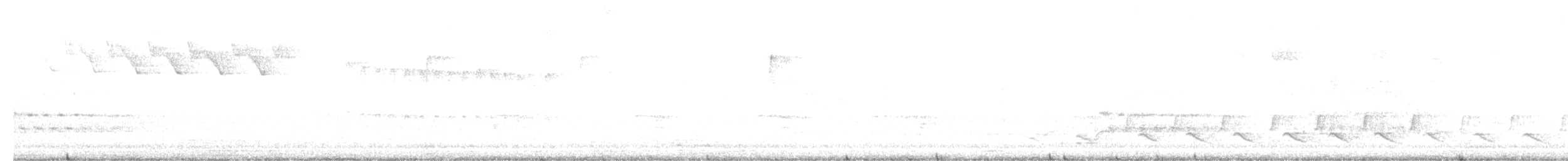 lesňáček černobílý - ML617805548