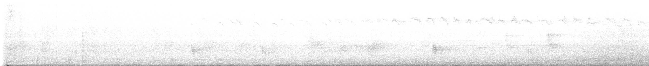 White Wagtail - ML617806468