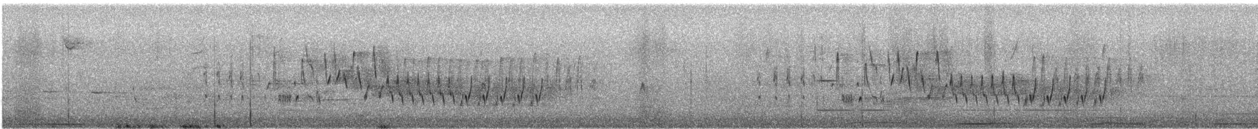 Northern House Wren - ML617810124