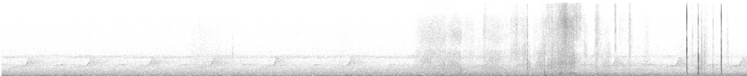Schwarzkehl-Nachtschwalbe - ML617810751
