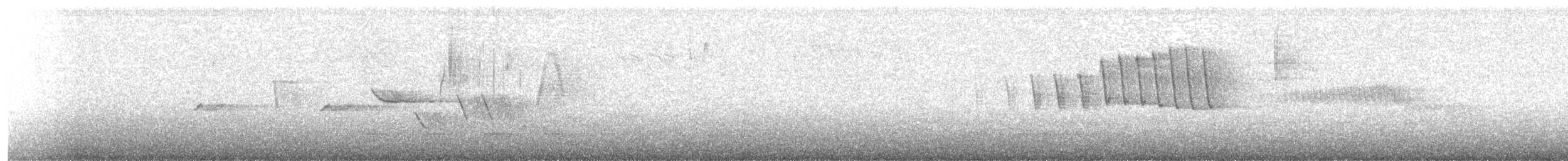 Paruline à calotte noire - ML617811678
