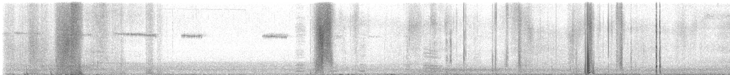 Широкохвостый колибри - ML617812369