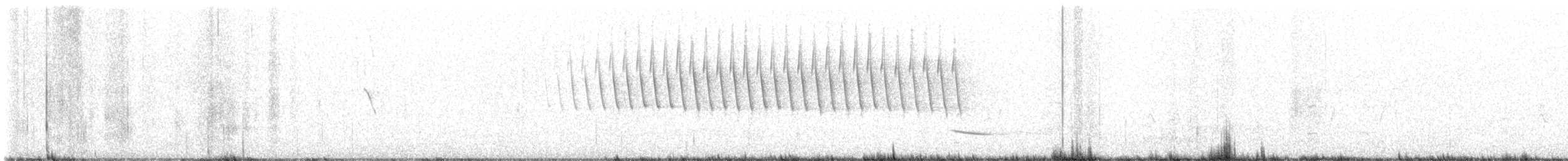 Schwirrammer - ML617813485