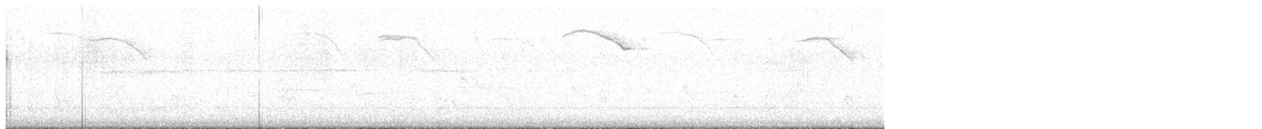 American Robin - ML617813816