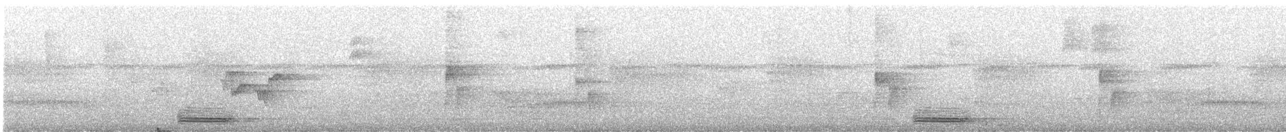 Keel-billed Motmot - ML617815332