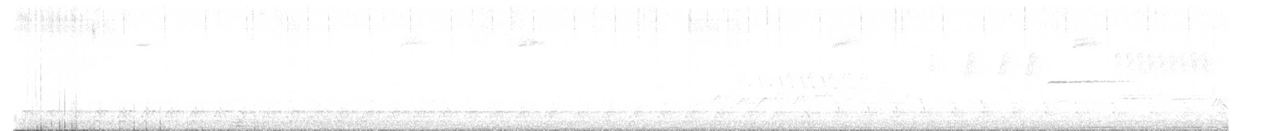 hvitbrynsvartspett - ML617818100