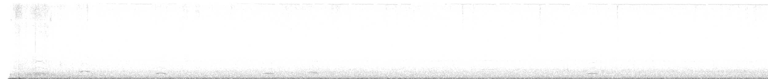 Cygne siffleur - ML617818323