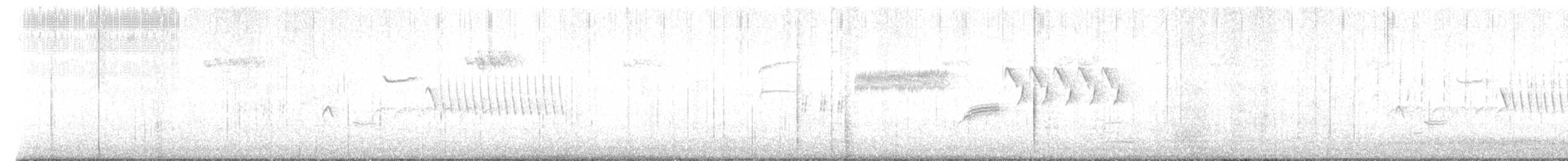 Bewick's Wren - ML617818556