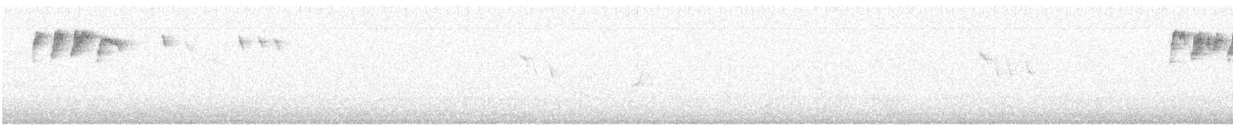 キクイタダキ（teneriffae） - ML617818671