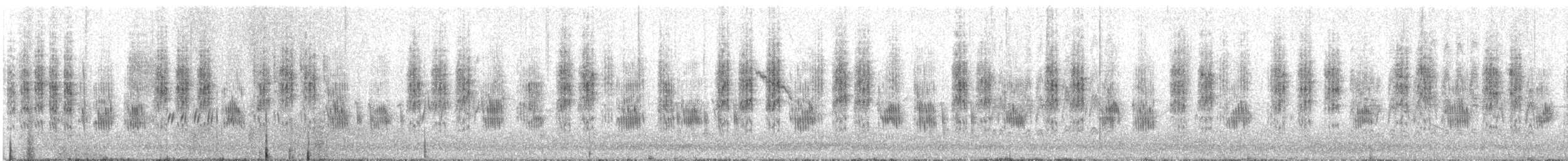 Phragmite des joncs - ML617819181