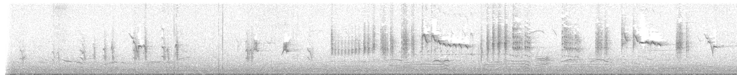 Phragmite des joncs - ML617820263