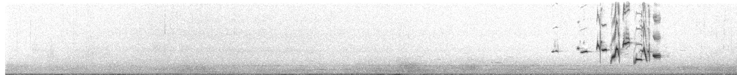 Batılı Tarlasığırcığı - ML617828203