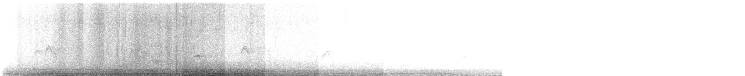 finch sp. - ML617830997
