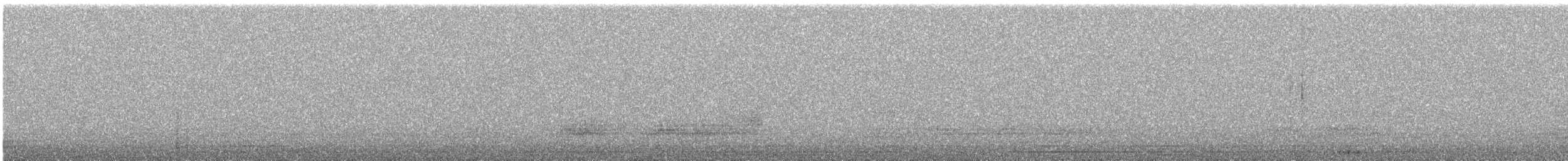 tårnugle (alba gr.) - ML617831959