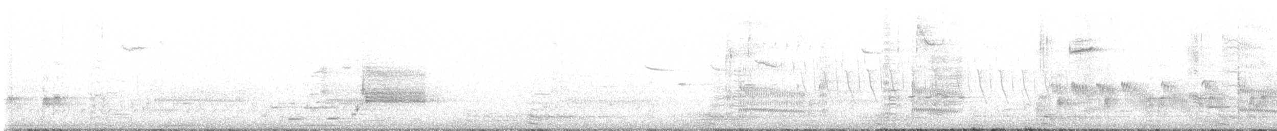 chřástal virginský (ssp. limicola/friedmanni) - ML617833544