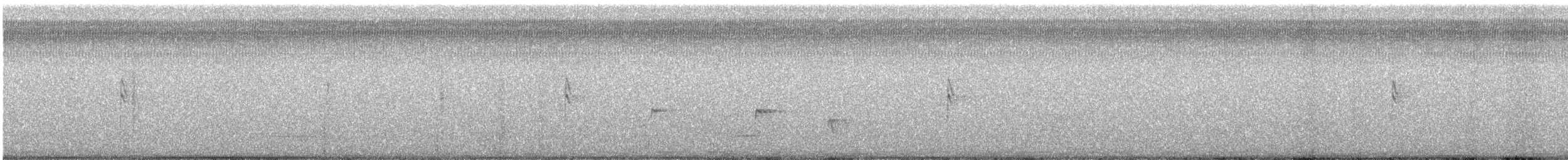 Spotted Sandpiper - ML617835663