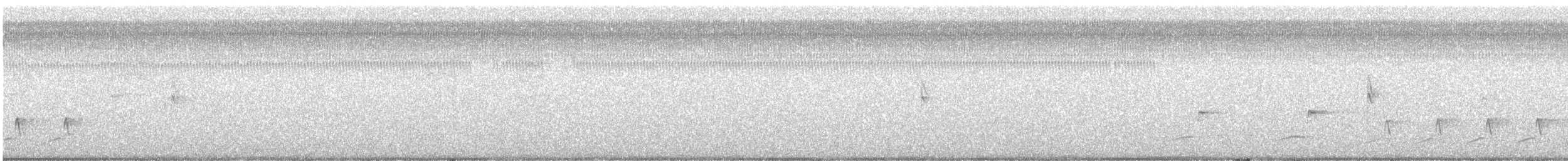 Spotted Sandpiper - ML617835673