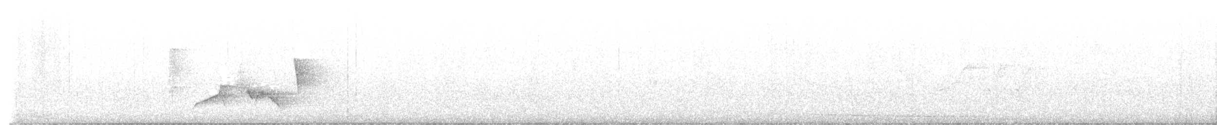 White-eyed Vireo - ML617835734