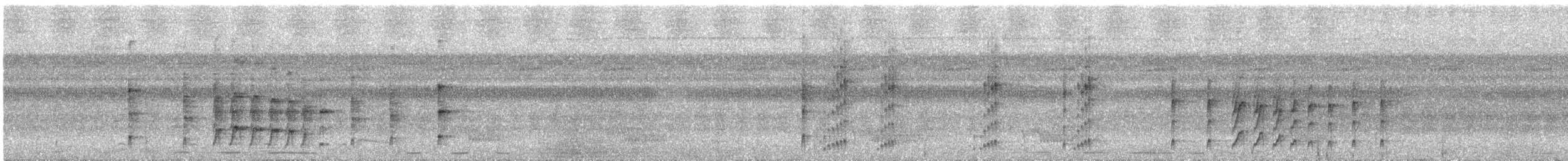 Black-and-white Tody-Flycatcher - ML617837016