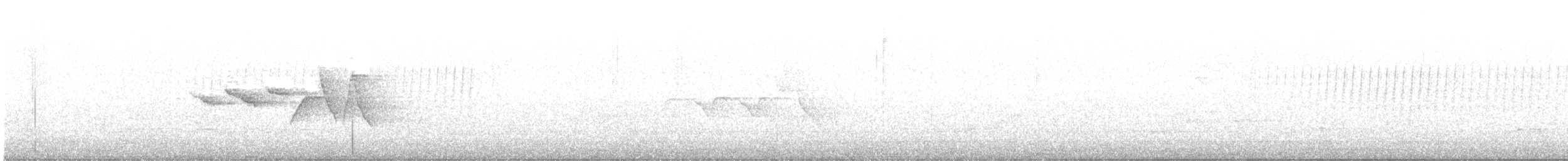 チャカブリアメリカムシクイ - ML617837302