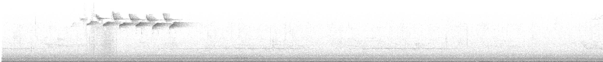 シロクロアメリカムシクイ - ML617837488
