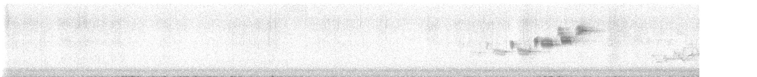 Black-throated Gray Warbler - ML617840863