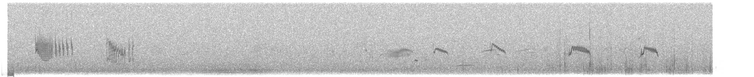 Txoriandre pispoleta mediterraneoa - ML617841990